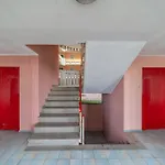 Casa Miro